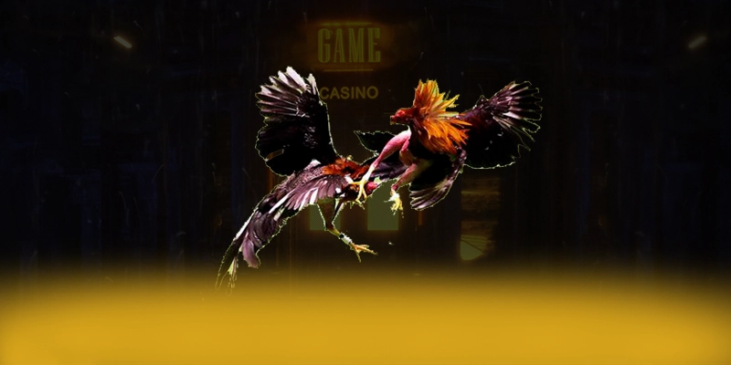 KUWIN - Tổng quan về hệ thống từ trải nghiệm thực tế.