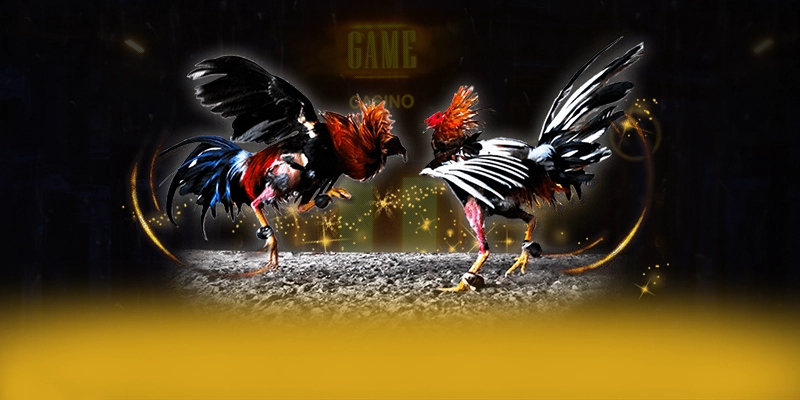 
Trải nghiệm tài xỉu online - Thương hiệu được nhiều người chơi lựa chọn được quan tâm
