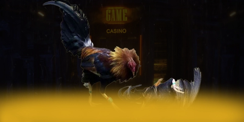 CONGA6789 - Thương hiệu hiện đại hiện nay