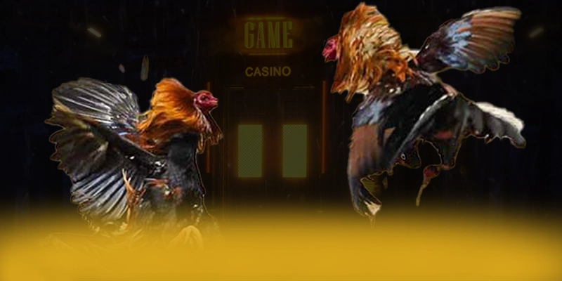 
Tìm hiểu DAGA88 - Cổng trò chơi được đánh giá cao cho người chơi
