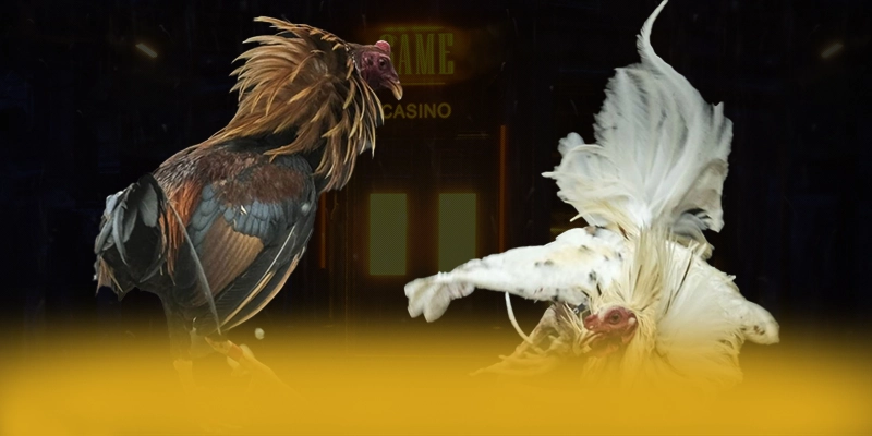 VWIN - Thương hiệu game trực tuyến quy tụ nhiều siêu phẩm hot tại Việt Nam – Khám phá VWIN