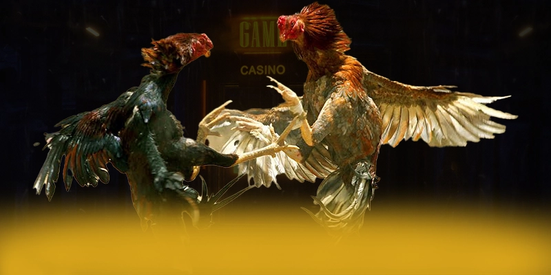 tài xỉu online - Sảnh game với chính sách tặng thưởng đẳng cấp được yêu thích hàng đầu – Cập nhật event và quà tặng tại tài xỉu online