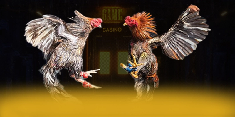 N88 - Cổng cá cược với hệ thống bảo mật hiện đại được đánh giá cao – Trải nghiệm N88