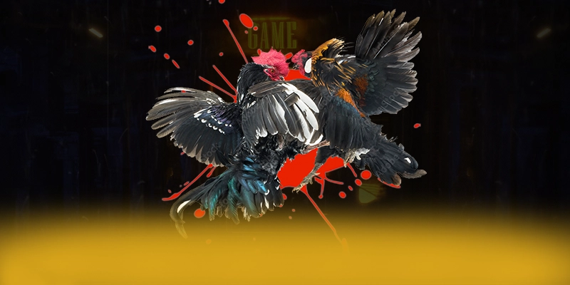 GA6789 - Sân chơi cam kết bảo vệ người chơi tuyệt đối trên thị trường – Tìm hiểu thêm về GA6789