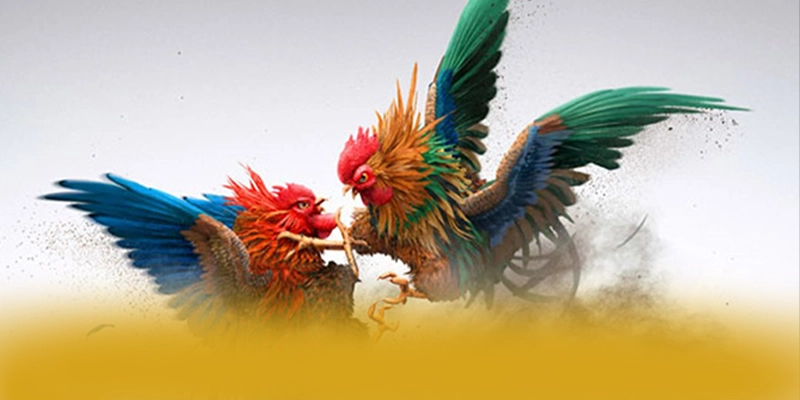 SUNWIN – Trang game an toàn tuyệt đối, đang làm mưa làm gió trên thị trường.