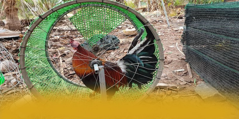 SUNWIN - Nhà cái được game thủ yêu thích được giới cược thủ tin tưởng – Khám phá thế giới giải trí tại SUNWIN