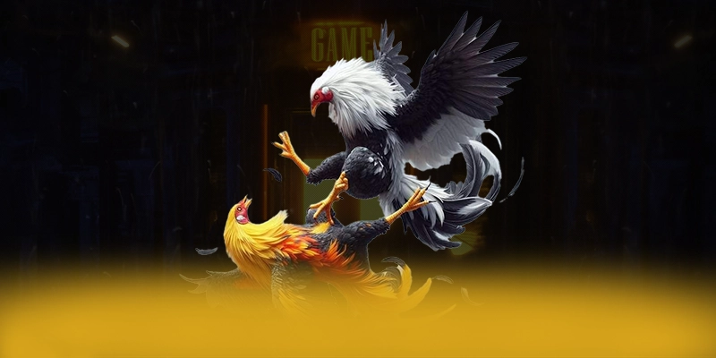 FC88 - Sảnh game uy tín số 1 Việt Nam