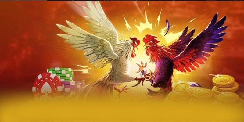 AU88 - Nhà cái với chính sách tặng thưởng đẳng cấp trên thị trường – Khám phá AU88