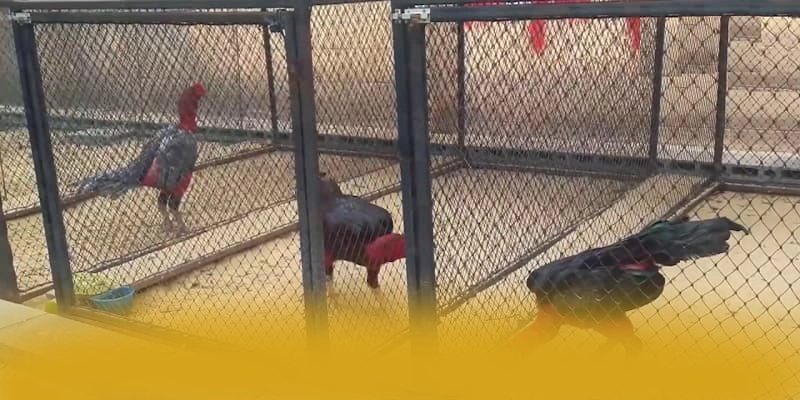 KKWIN - Thương hiệu game trực tuyến được game thủ yêu thích hiện nay – Khám phá kho trò chơi của KKWIN