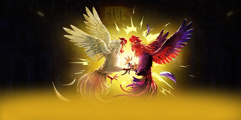 BL555 - Cổng game có quà tặng đặc biệt được quan tâm nhất – Cập nhật event và quà tặng tại BL555