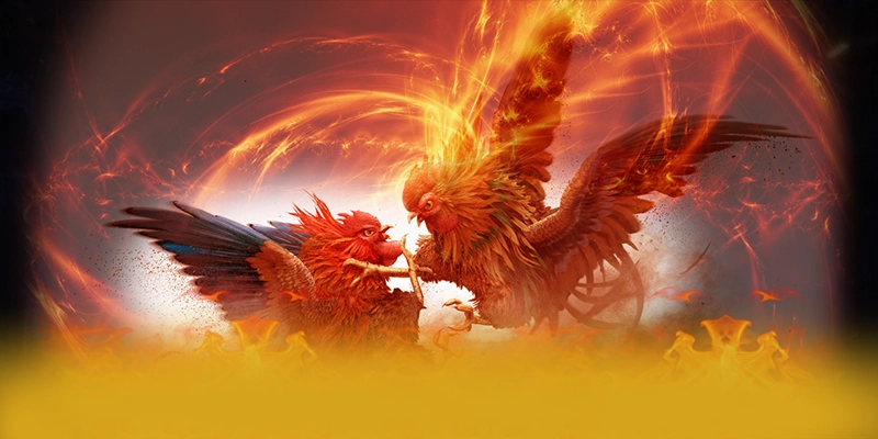 da88 - Nền tảng cá cược được cấp phép đáng tin cậy nhất